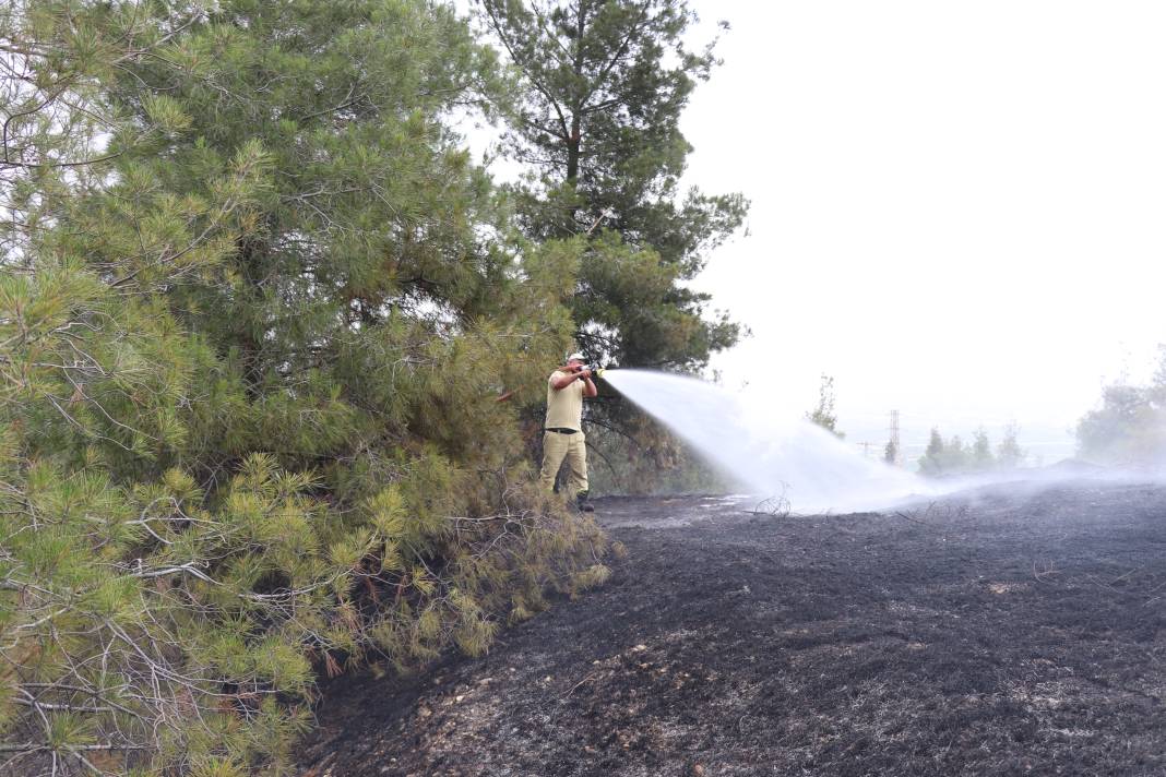 Pamukkale orman yangını! Hem havadan hem de karadan müdahale ediliyor 2